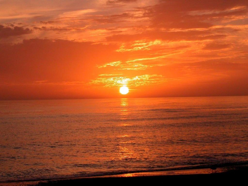 Canal 309 - Right In Siesta Key Village! Bagian luar foto